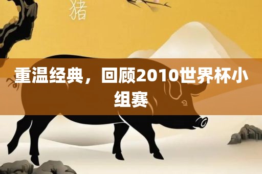 重温经典广西贺州市华昌新材料有限公司，回顾2010世界杯小组赛