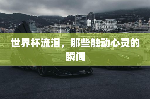 世界杯流泪，那些触动心灵的瞬间广西贺州市华昌新材料有限公司