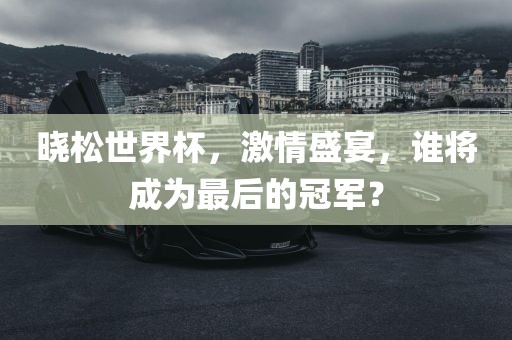 晓松世界杯，激情盛宴，谁将成为最后的冠军？
