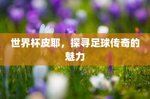 世界杯广西贺州市华昌新材料有限公司皮耶，探寻足球传奇的魅力