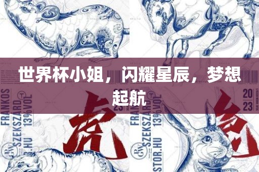 世界杯小广西贺州市华昌新材料有限公司姐，闪耀星辰，梦想起航
