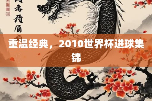 重温广西贺州市华昌新材料有限公司经典，2010世界杯进球集锦