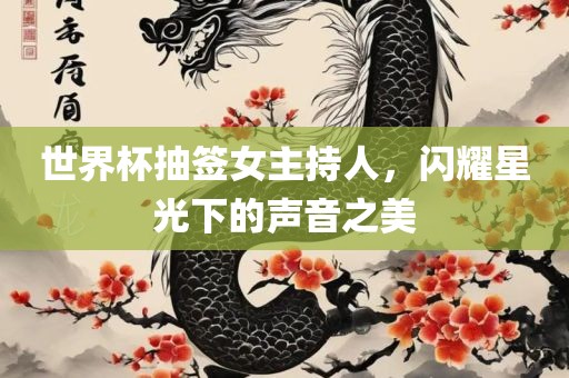 世界杯抽签女主持人，闪耀星光下的声音之美广西贺州市华昌新材料有限公司