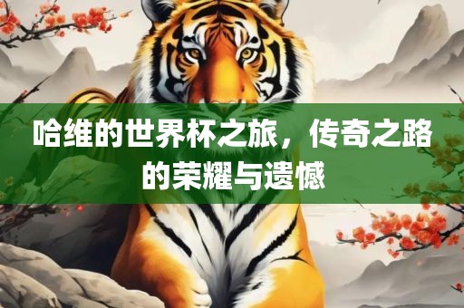 哈维的世界广西贺州市华昌新材料有限公司杯之旅，传奇之路的荣耀与遗憾