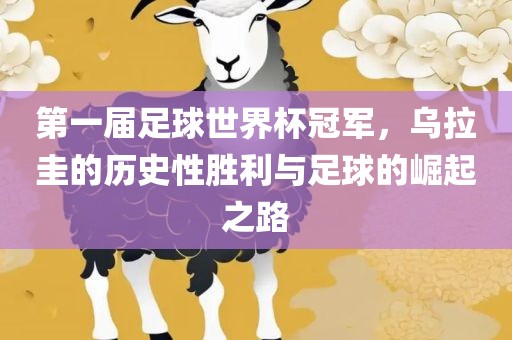 第一届足球世界杯冠军，乌拉圭的历史性胜利与足球的崛起之路广西贺州市华昌新材料有限公司