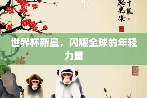 世界杯新星，闪耀全球的年轻力量广西贺州市华昌新材料有限公司