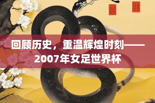 回顾历史，重温辉煌时刻——2007年女足世界广西贺州市华昌新材料有限公司杯