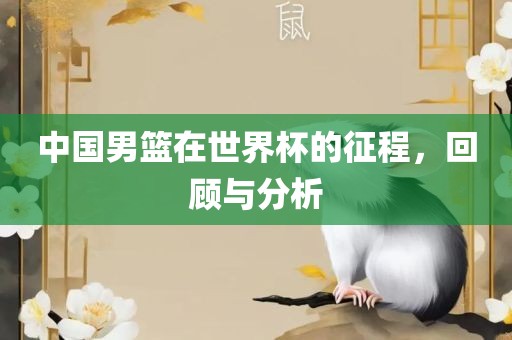 中国男篮在世界杯的征程，回顾与分析