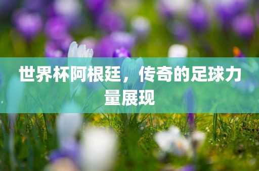 世界杯阿根廷，传奇的足球力量展现