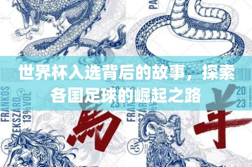 世界杯入选背后的故事，探索各国足球的崛起之路广西贺州市华昌新材料有限公司