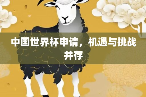 广西贺州市华昌新材料有限公司中国世界杯申请，机遇与挑战并存