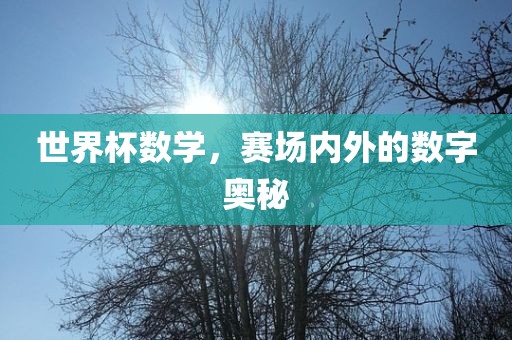 世界杯数学，赛场内外的数字奥秘广西贺州市华昌新材料有限公司
