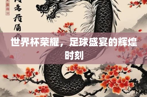 世界杯荣耀，足球盛宴的辉煌时刻广西贺州市华昌新材料有限公司