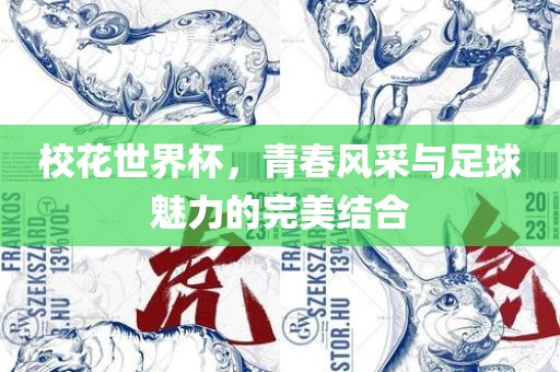 校花世界杯，青春风采与足球魅力的完美结合广西贺州市华昌新材料有限公司
