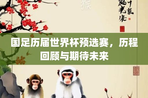 国足历届世界杯预选赛，历程回顾与期待未来