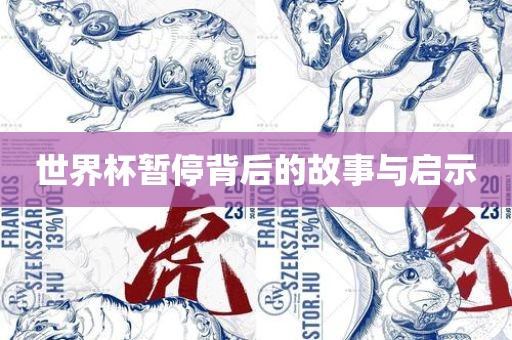 世界杯暂停背后的故事与启示广西贺州市华昌新材料有限公司