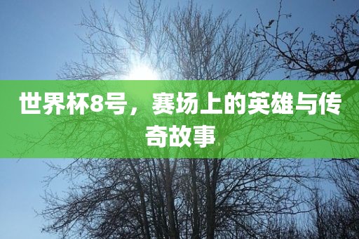 世界杯8号，广西贺州市华昌新材料有限公司赛场上的英雄与传奇故事