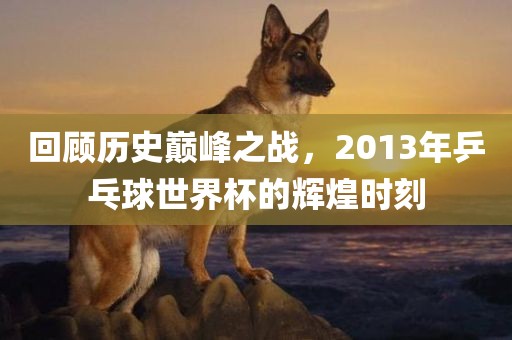 回顾历史巅峰之战，2013年乒乓球世界杯的辉煌时刻