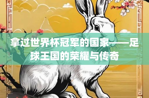 拿过世界杯冠军的国家——足球王国的荣耀与传奇广西贺州市华昌新材料有限公司