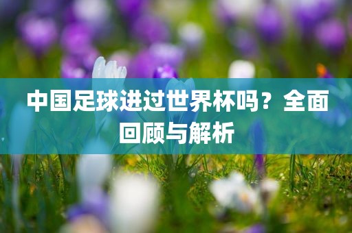 世界杯历史 第3页
