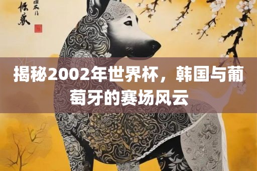 揭秘2002年世界杯，韩国与葡萄牙的赛场风云