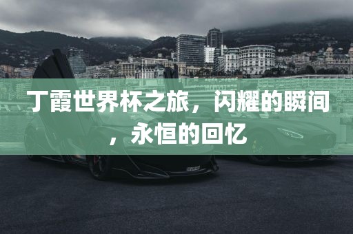 丁霞世界杯之旅，闪耀的瞬间，永恒的回忆
