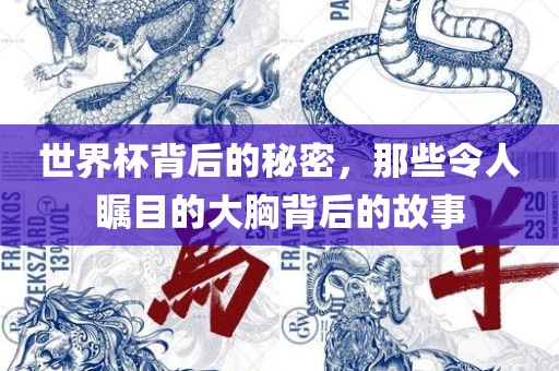 世界杯背后的秘密，那些令人瞩目的大胸背后的故事广西贺州市华昌新材料有限公司