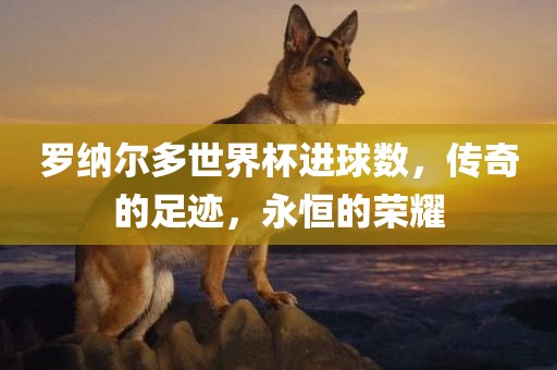罗纳尔多世界杯进球数，传奇的足迹，永恒的荣耀
