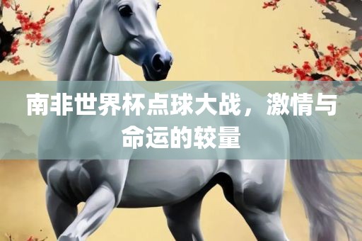 南非世界杯点球大战，激情与命运的较量广西贺州市华昌新材料有限公司