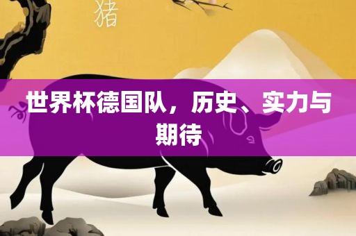 世界杯德国队，历史、实力与期待广西贺州市华昌新材料有限公司