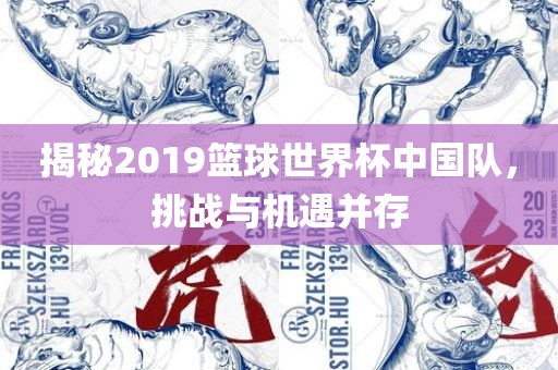 揭秘2019篮球世界杯中国队，挑战与机遇并存