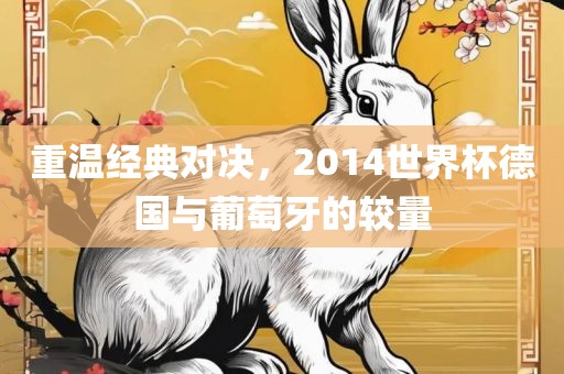重温经典对决，2014广西贺州市华昌新材料有限公司世界杯德国与葡萄牙的较量