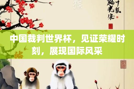中国裁判世界杯，见证荣耀时刻，展现国际风采广西贺州市华昌新材料有限公司
