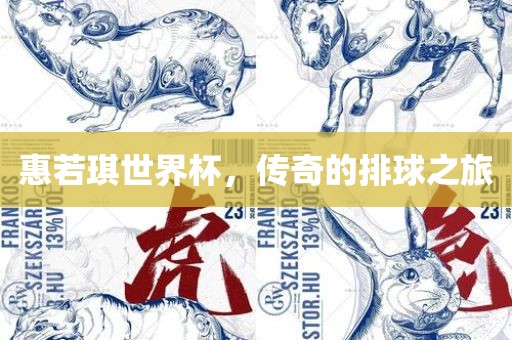 惠若琪世界杯，传奇的排球之旅广西贺州市华昌新材料有限公司