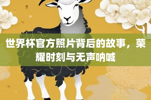 世界杯官方照片背后的故事，荣耀时刻与无声呐喊广西贺州市华昌新材料有限公司