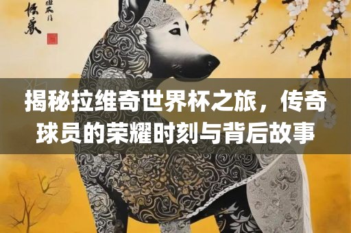 揭秘拉维奇世界杯之旅，传奇球员的荣耀时刻与背后故事