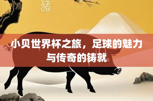 小贝世界杯之旅，足球的魅力与传奇的铸就广西贺州市华昌新材料有限公司