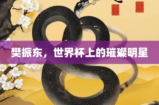 樊振东，世界杯上的璀璨明星