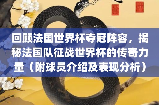 回顾法国世界杯夺冠阵容，揭秘法国队征战世界杯的传奇力量（附球员介绍及表现分析）广西贺州市华昌新材料有限公司