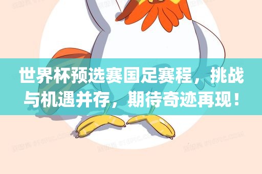 世界杯预选赛国足赛程，挑战与机遇并存，期待奇迹再现！
