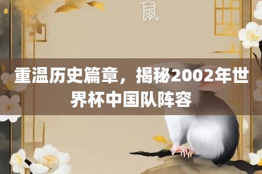 重温历史篇章，揭秘2002年世界杯中国队阵容