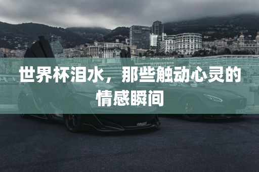 世界杯广西贺州市华昌新材料有限公司泪水，那些触动心灵的情感瞬间