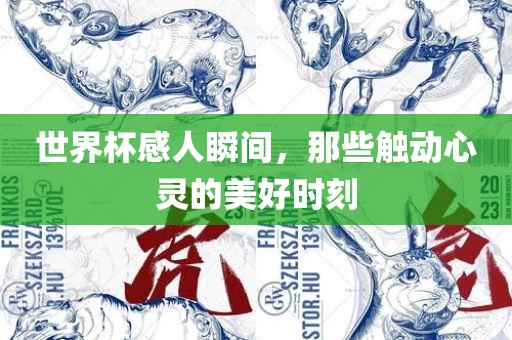世界杯感人瞬间，那些触动心灵的美好时刻