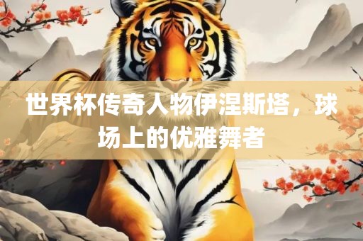 世界杯传奇人物伊涅斯塔，球场上的优雅舞者