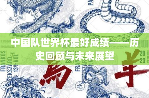 中国队世界杯最好成绩——历史回顾与未来展望