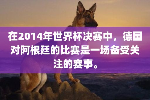 在2014年世界杯决赛中，德国对阿根廷的比赛是一场备受关注的赛事。广西贺州市华昌新材料有限公司