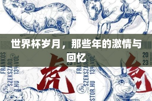 世界杯岁月，那些年的激情与回忆