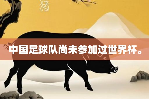 zhengliyun 第12页