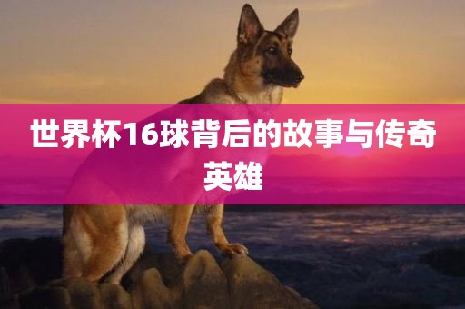 世界杯16球背后的故事与传奇英雄广西贺州市华昌新材料有限公司