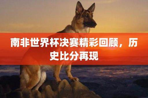 南非世界杯决赛精彩回顾，历史比分再现